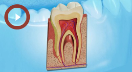 Gum Disease Treatments
